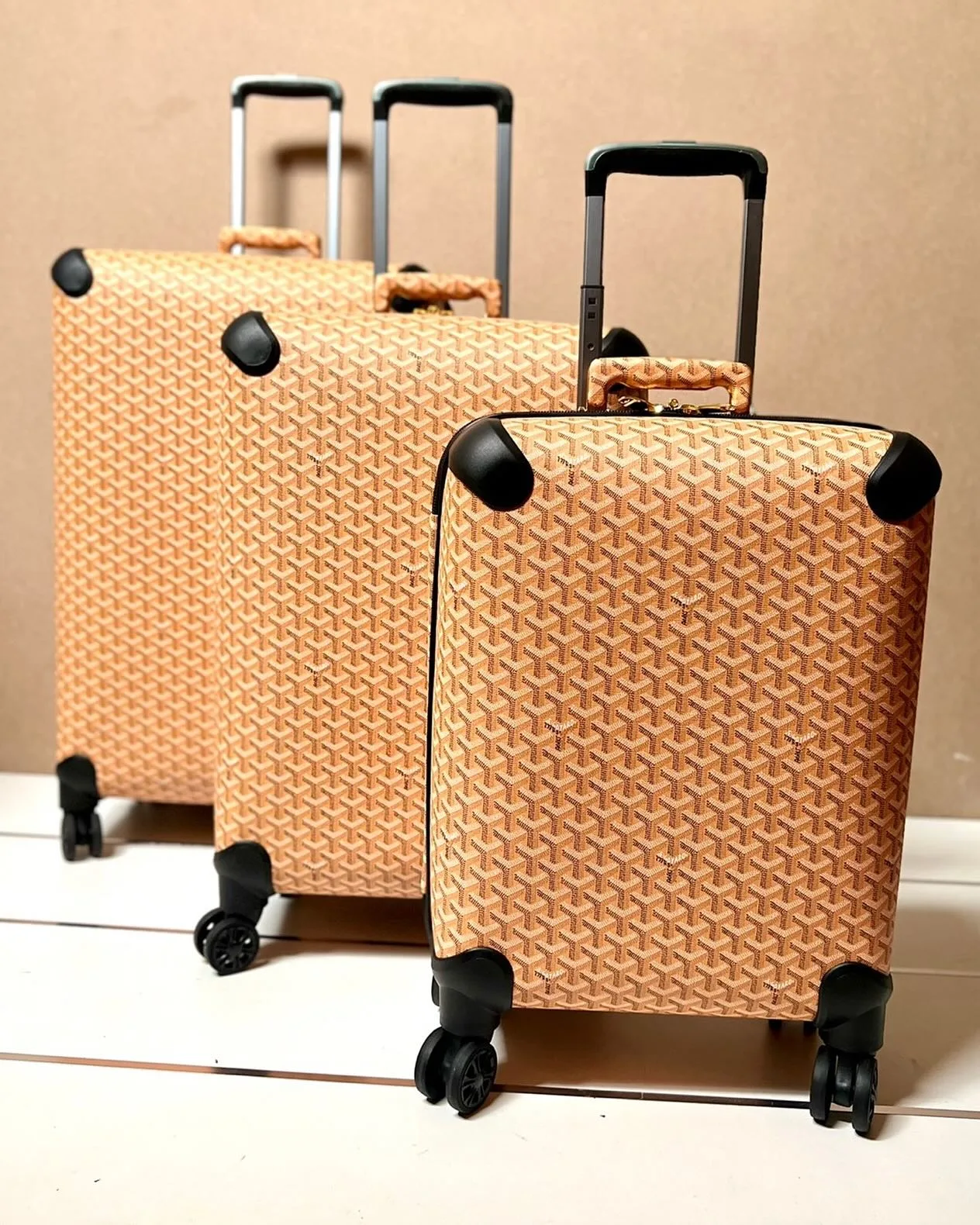 Goyard hardside luggage set with branded corner trim photo 1