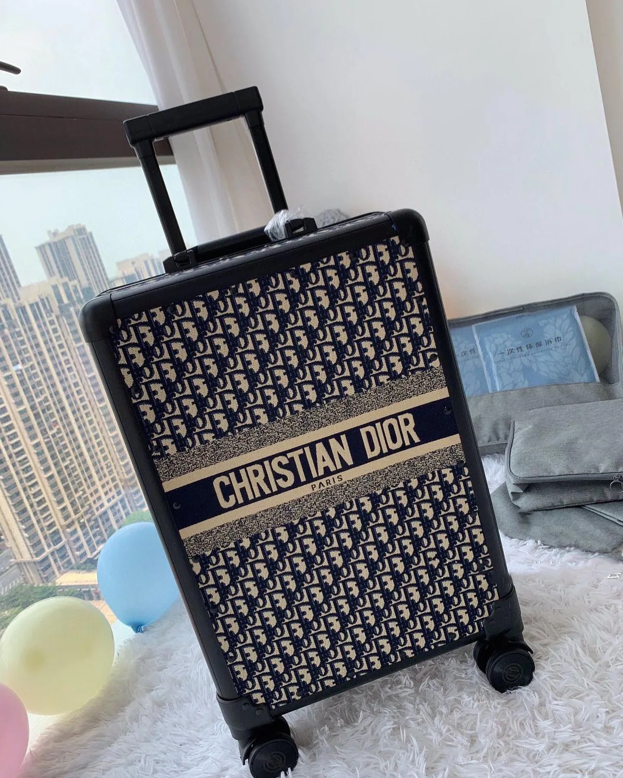 Dior Luggage Suitcase photo 1