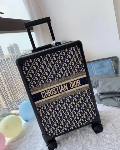 Dior Luggage Suitcase