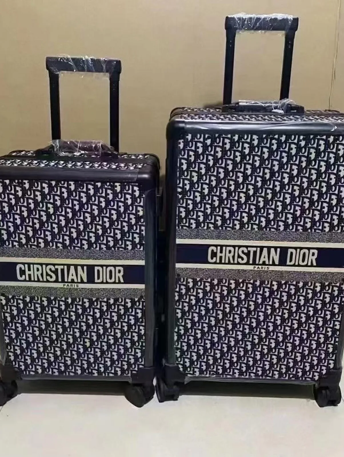 Dior Oblique Hard-Shell Luggage photo 1
