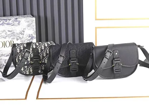 Dior camera bag Oblique crossbody