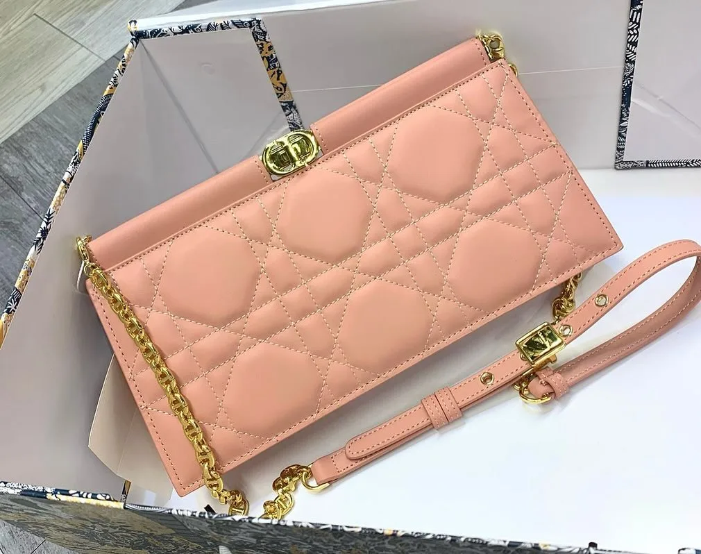 Dior Chain Wallet Clutch photo 1