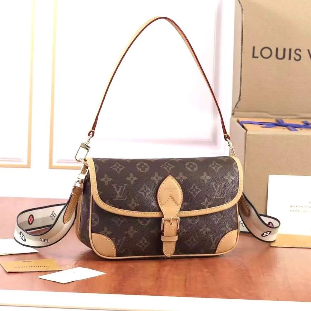 Louis Vuitton Diane hobo photo 1