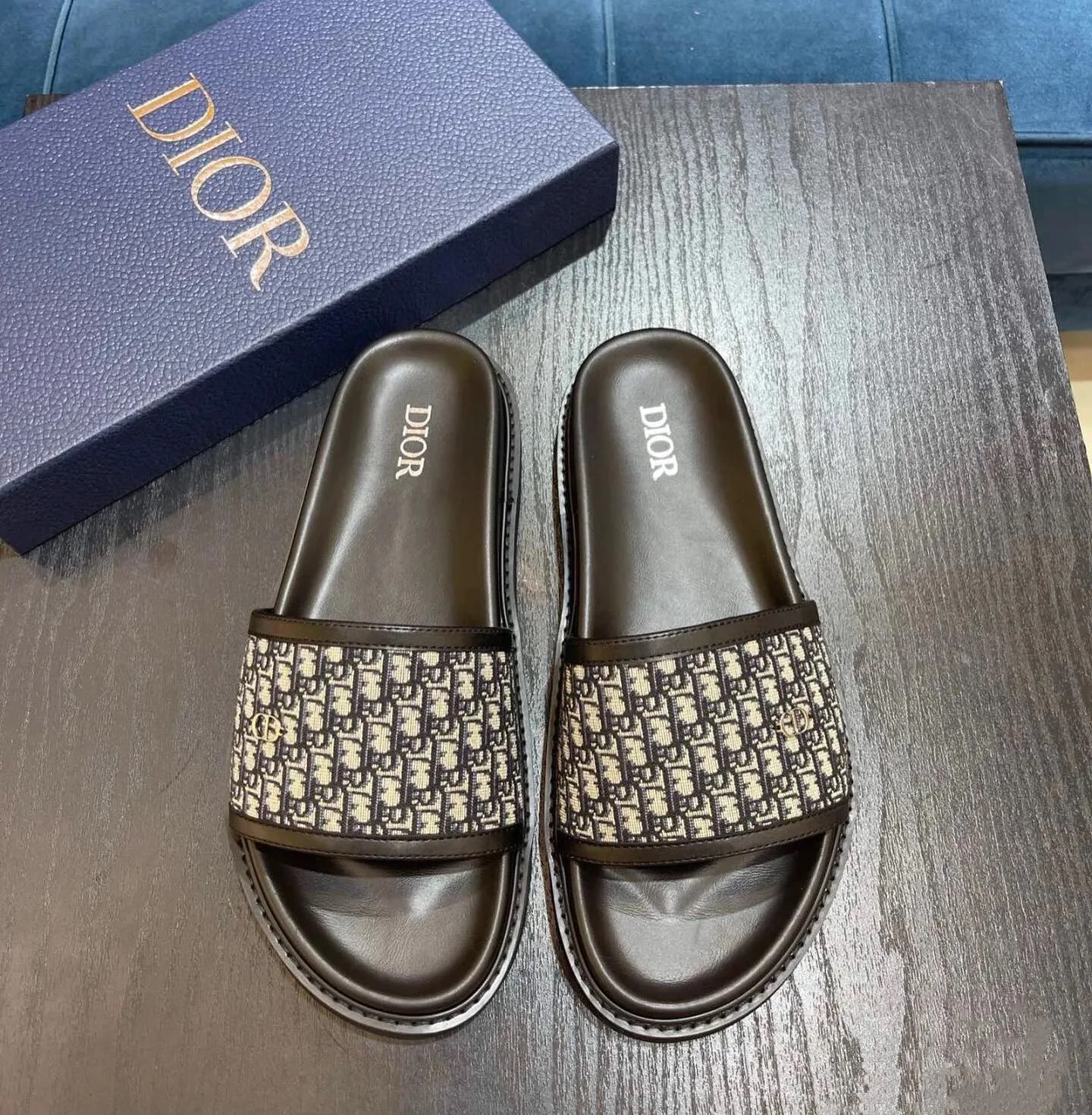 Dior Dway Oblique slide photo 1