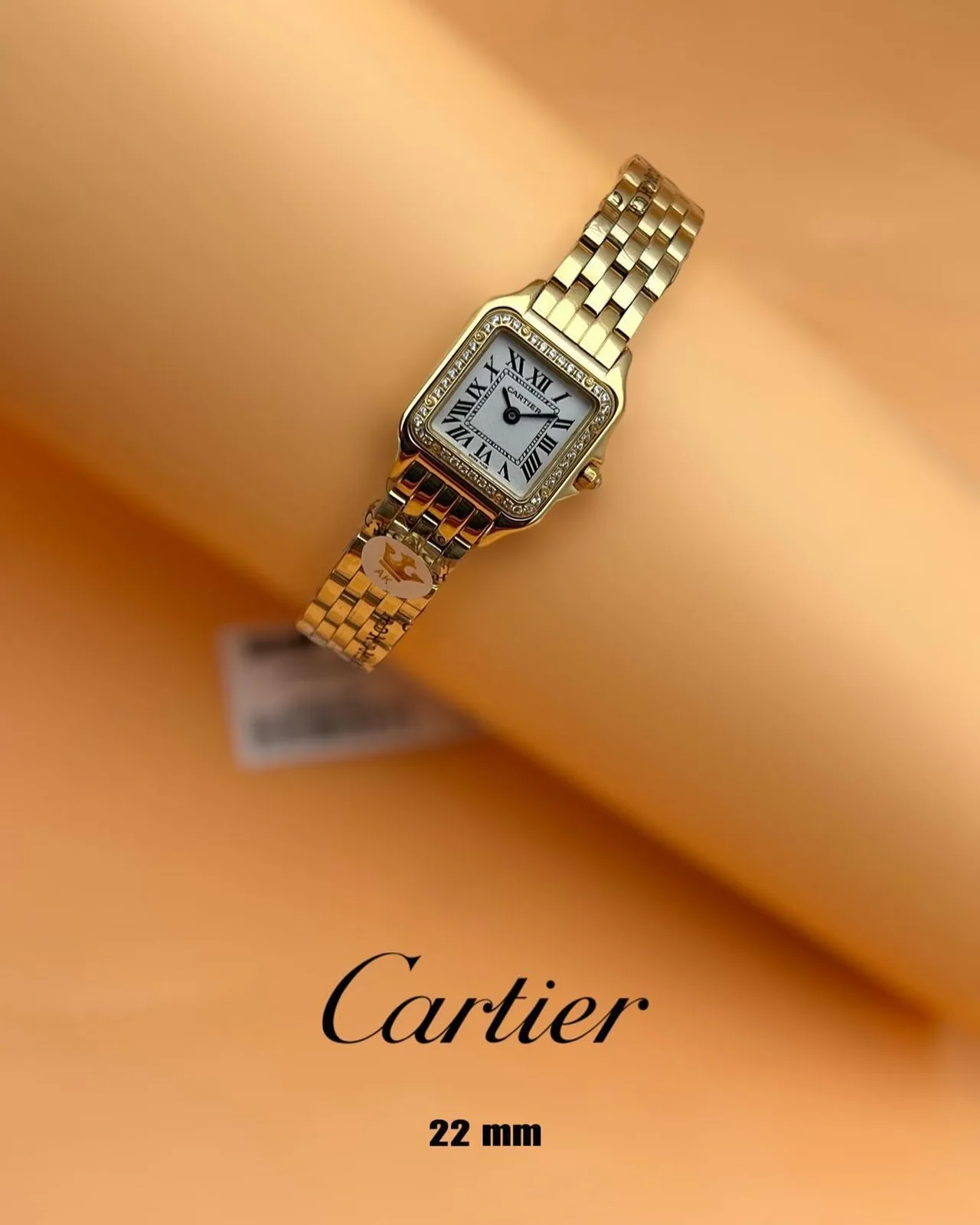 Cartier Panthère de Cartier photo 1